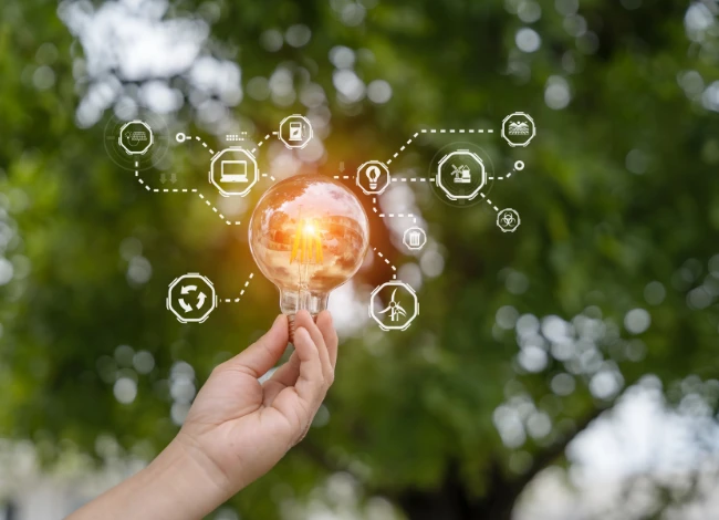 The Role of Ecosystem Consulting in Startup Growth